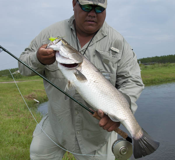 Mit großen Streamers fängt man Barramundi